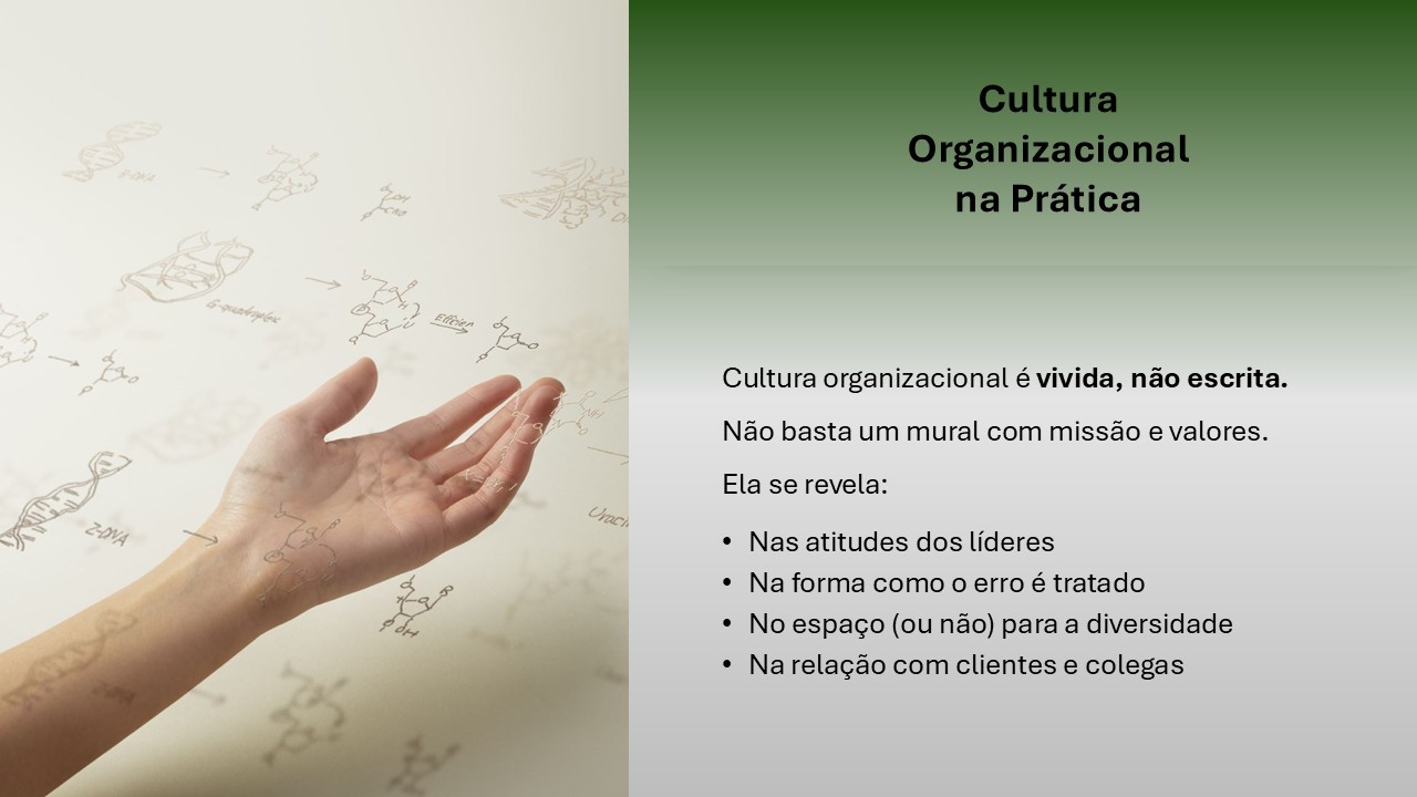 Imagem ilustrativa sobre cultura organizacional