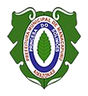 Logo de Câmara Municipal de Manacapuru - Documentos