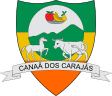 Logo de Câmara Municipal de Canaã dos Carajás - Documentos