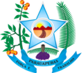Logo de Câmara Municipal de Parauapebas - Documentos