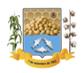 Logo de Câmara Municipal de Uruçuí - Legislação Local