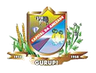 Logo de Câmara Municipal de Gurupi - Documentos